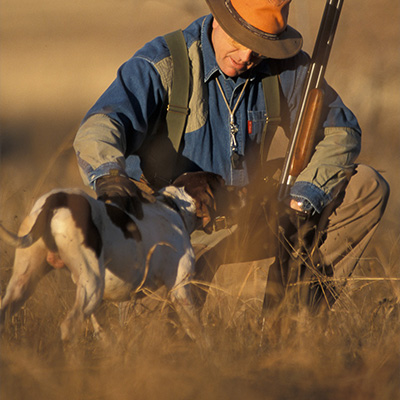 Kennel Cough-Vaccines